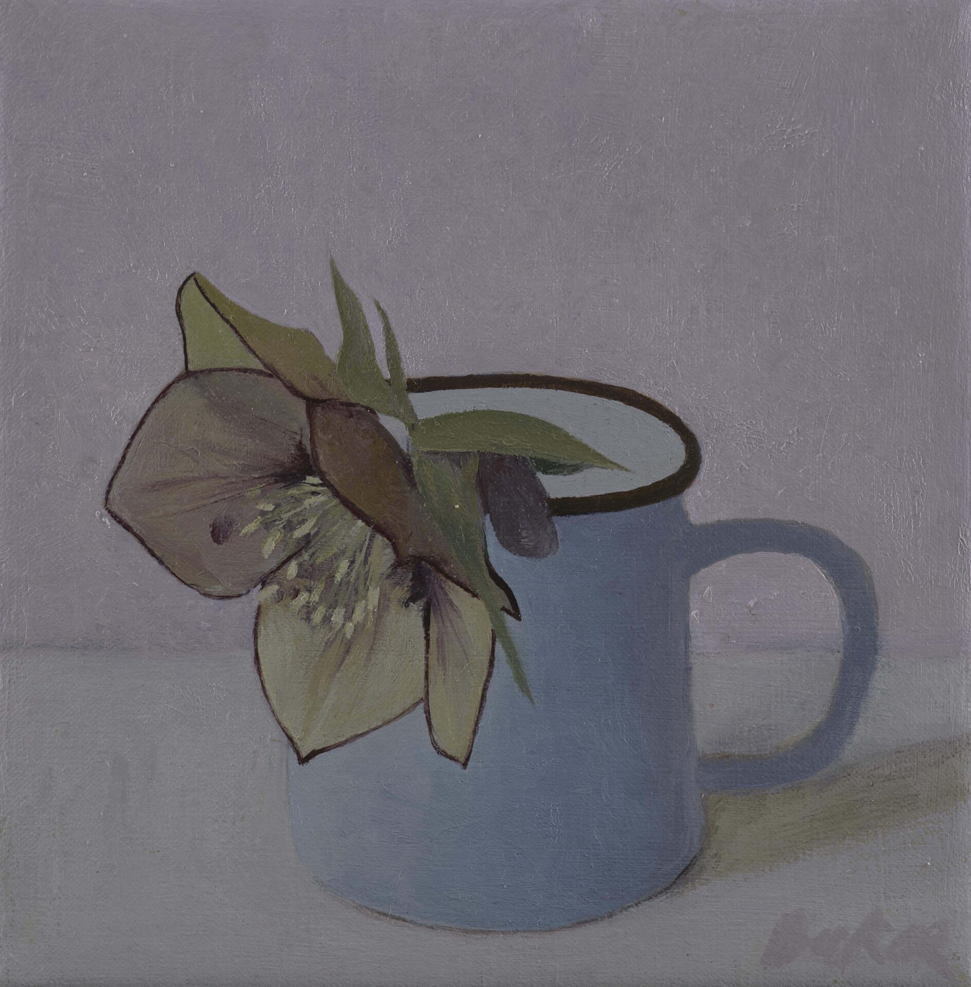 Hellebor in blue tin cup 612x612 2023 2
