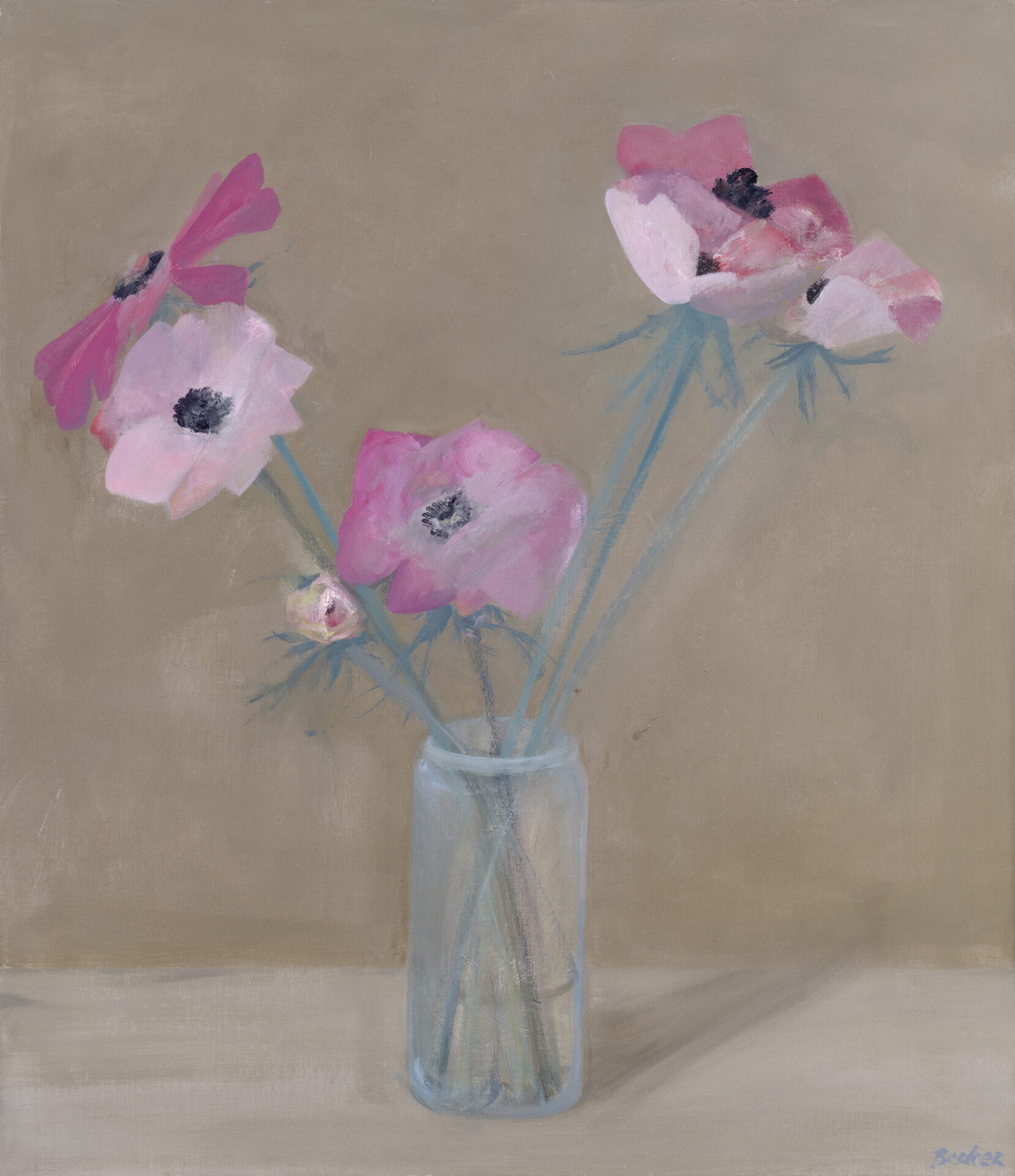 Anemones 30x26 2026