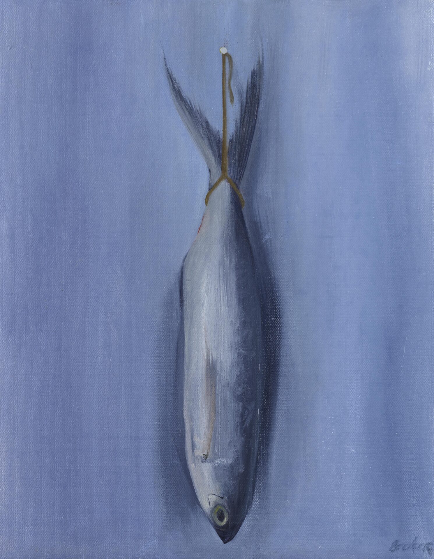 Fish blue 16x14 2025