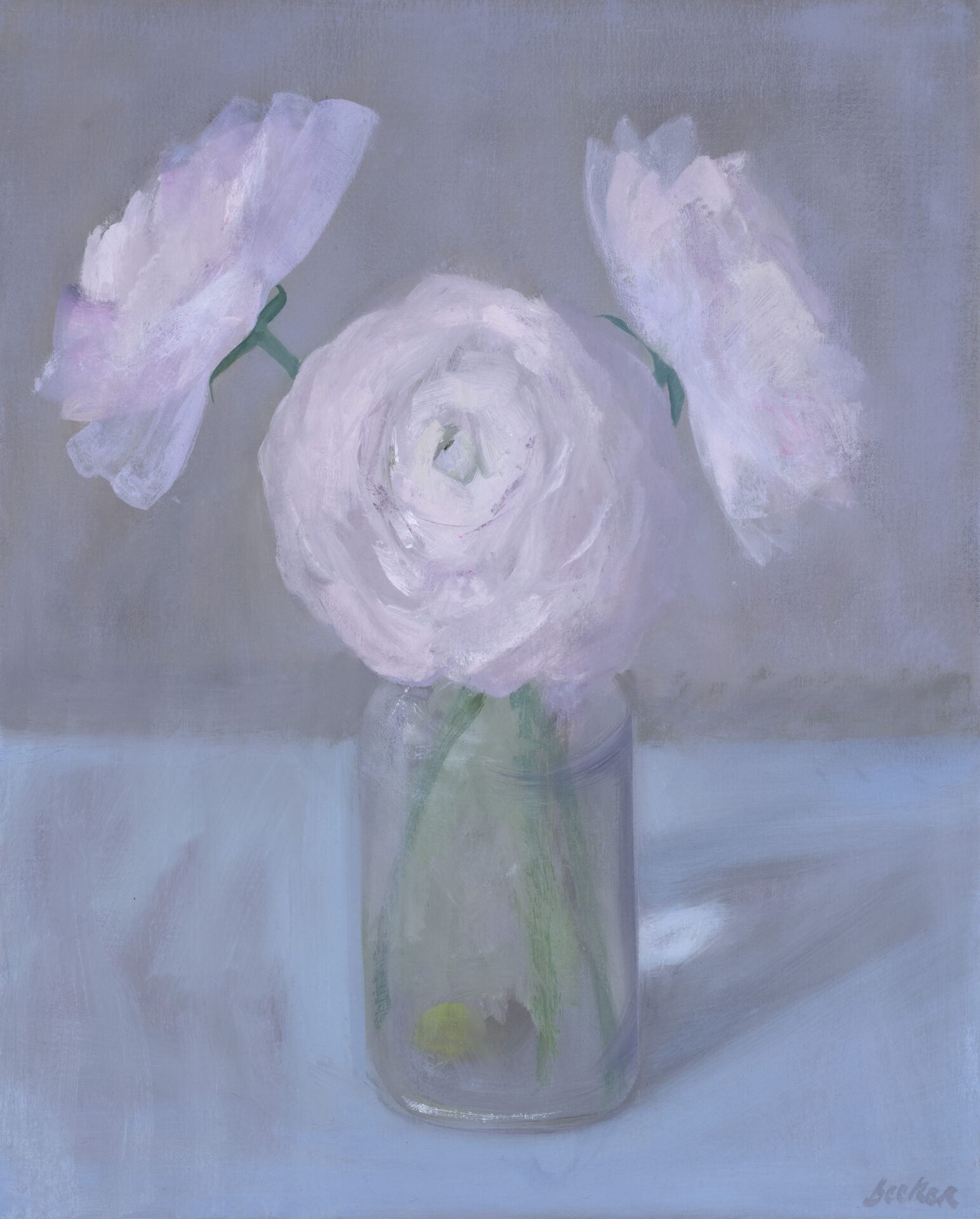 Ranunculus 20x16 2026