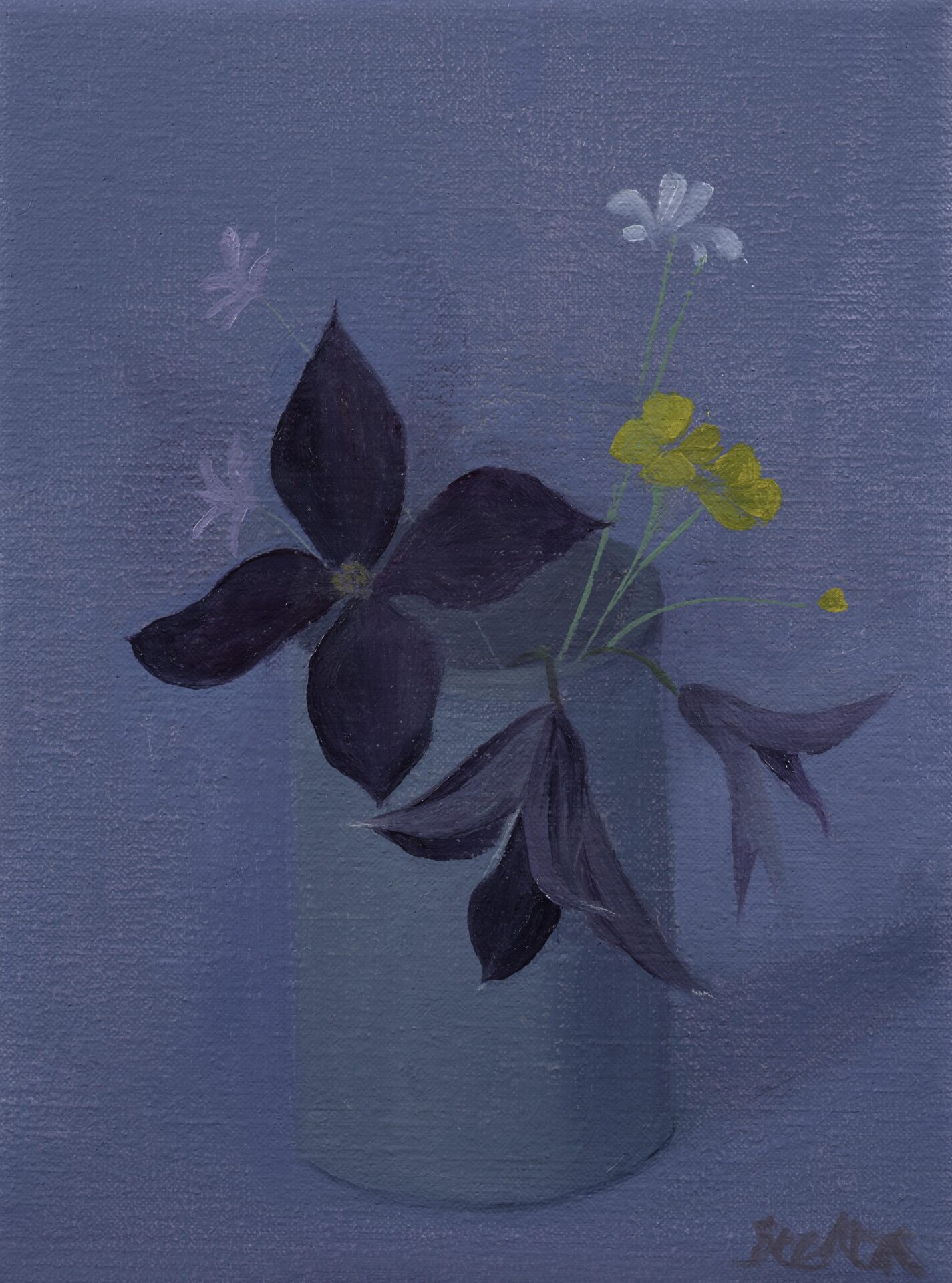 Three Clematis and friends 8x6 2025