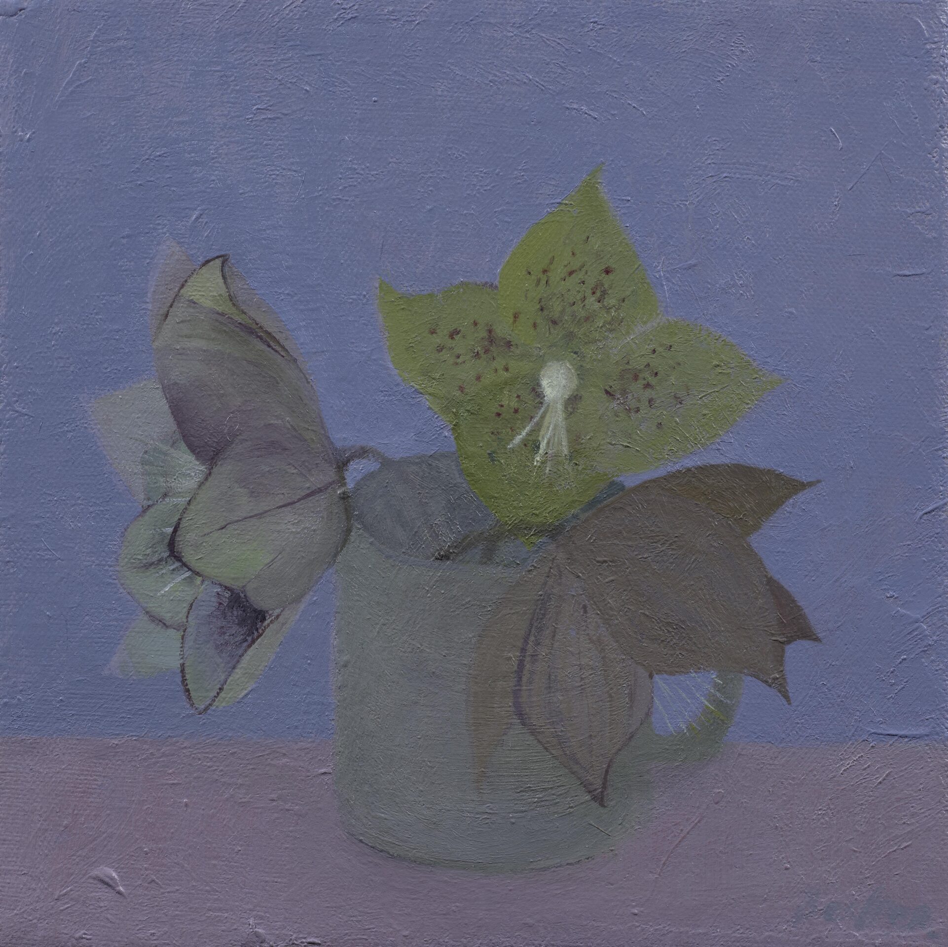 Three hellebores in a cup 8x8 2024
