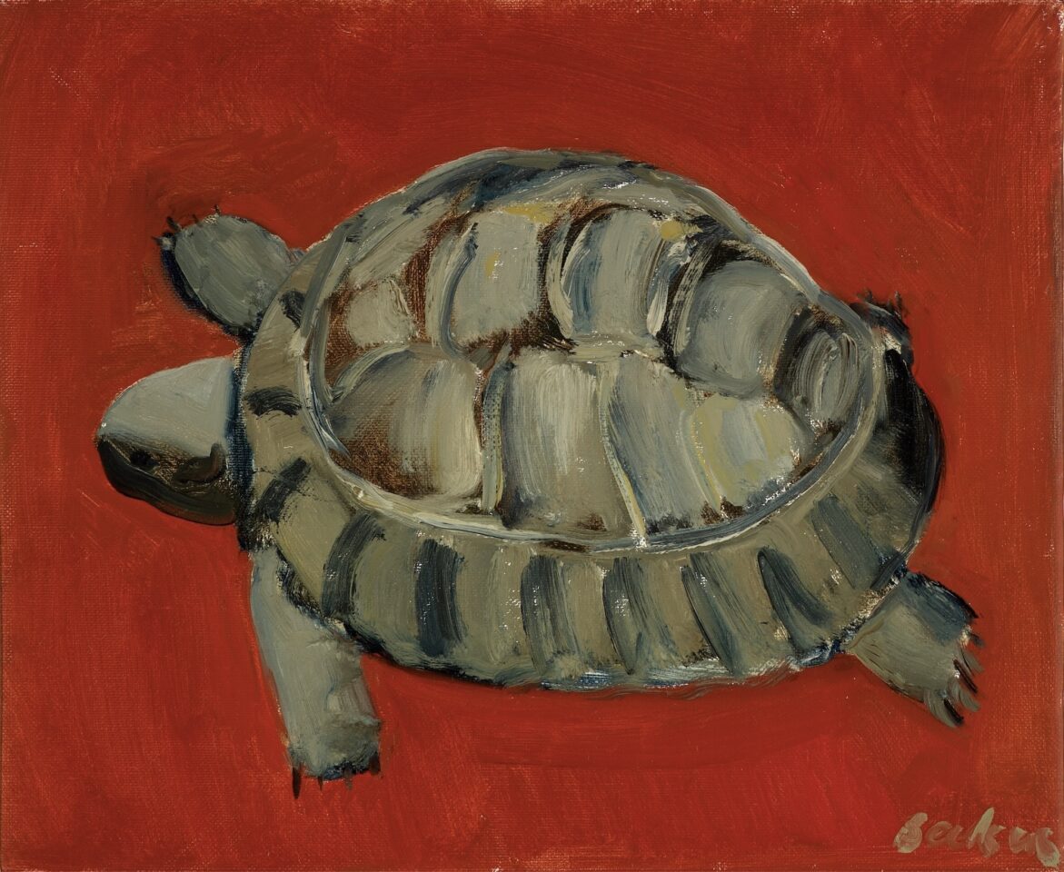 George as tortoise in Jeru 2